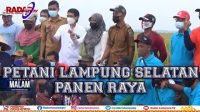 Petani Lampung Selatan Panen Raya