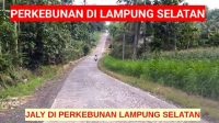 Melewati Jalan Sepi Perkebunan Coklat di Indonesia Lampung Selatan Kampu Indah