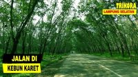 Jalan Aja Dulu – Berjalan Di perkebunan Karet TRIKORA Lampung Selatan
