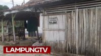 Lampung Selatan: Kandang Ayam pun Dilabeli Penerima Bansos