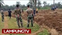 PTPN-7 Lampung dan LSM Ribut Gegara Lahan 75 Hektare