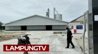 DLH Lampung Selatan: Pabrik Jagung Langgar Konstruksi