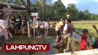 Sensasi Mandi Air Panas Berkhasiat di Natar Lampung Selatan