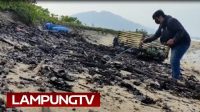 KLH Cari Sumber Pencemaran Limbah di Perairan Lampung