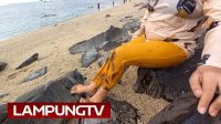 Pelancong Pantai Lampung Terkena Limbah Aspal Curah