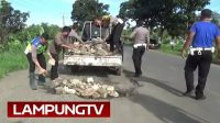 Polisi Timbun Jalan Rusak di Pasuruan Lampung Selatan