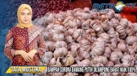 Dampak Corona, Harga Bawang Putih Di Lampung Barat Naik 100 Persen