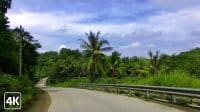 Suasana Jalan Di Desa Yang Masih Asri Daerah Karang Anyar Lampung Selatan
