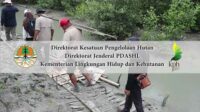 Kunjungan Direktur KPHL Ditjen PDASHL ke lokasi PEN Mangrove di Lampung Selatan.