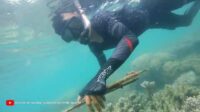 Bersih-bersih Pantai & terumbu karang di Pulau Sebuku Lampung Selatan