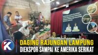 Volume Ekspor Daging Rajungan Asal Lampung Capai 1.019 Ton Senilai Rp 418 Miliar