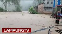 Banjir Way Randu Rendam 8 Pekon di Cukuhbalak Tanggamus