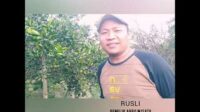 Agrowisata Petik Jeruk | Sidomulyo Lampung-Selatan