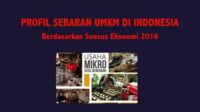 Profil Sebaran UMKM di Indonesia