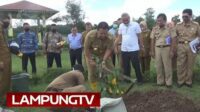 Gubernur Lampung Tanam Pohon Langka di Agropark Sabah Balau