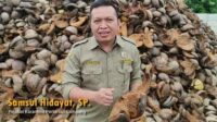 Sejuta Potensi Olahan Sabut Kelapa – Karantina Pertanian Lampung