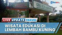 Wisata Edukasi di Lembah Bambu Kuning Lampung Utara, Suasana Asri Nyaman untuk Belajar soal Alam