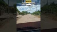 kondisi terbaru jalanan Rumbia, kabupaten Lampung Tengah | vlogger oleng