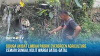 Diduga Akibat Limbah Pabrik Evergreen Agriculture Cemari Sungai, Kulit Warga Gatal-Gatal