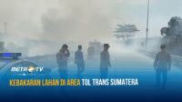 Kebakaran Lahan di Area Tol Trans Sumatera