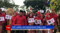 Rosdiana: Bacaleg PDIP Lamsel Harus Gotong Royong Menangkan Pemilu 2024 – SaburaiNEWS