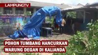 Pohon Tumbang Hancurkan Warung Degan di Kalianda
