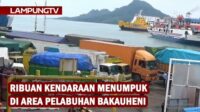 Ribuan Kendaraan Menumpuk di Area Pelabuhan Bakauheni