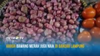 Harga Bawang Merah Juga Naik di Bandar Lampung